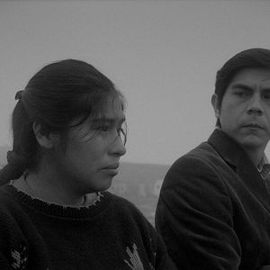 Bilder Song Without A Name