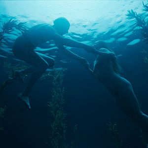 Bilder Dogs Don't Wear Pants