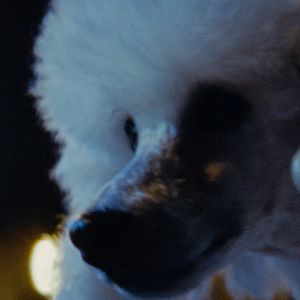 Bilder Deux soeurs qui ne sont pas soeurs