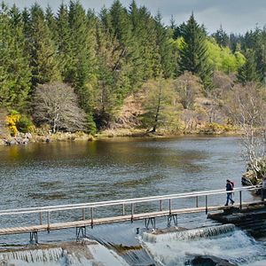 Bilder Edie - Für Träume ist es nie zu spät