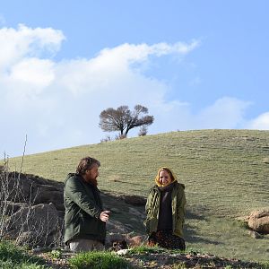 Bilder Sahar Dolatshahi