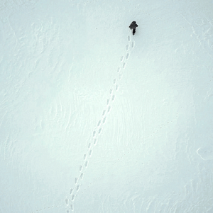 Bilder L'Autre continent