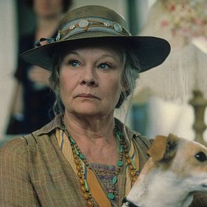 Bilder Tee mit Mussolini