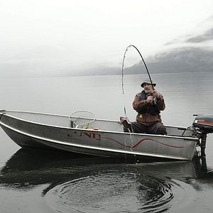 Bilder Somewhere Between