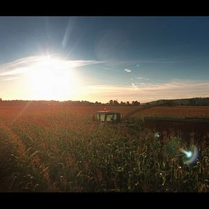 Bilder Die Hochzeit des Jahres