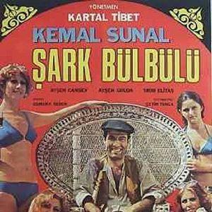 Bilder Şark Bülbülü