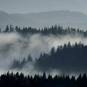 Bilder Viking Vengeance