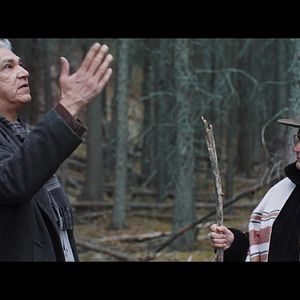 Bilder Cowboy Camembert