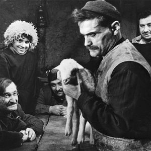 Bilder Weiße Karawane