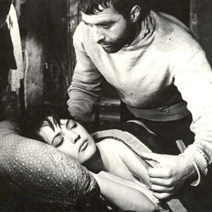 Bilder Weiße Karawane