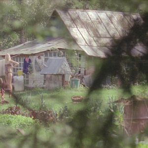 Bilder Kolektyviniai sodai