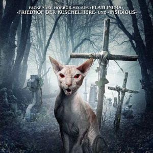 Bilder Friedhof am Ende der Welt