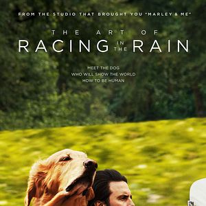 Bilder Enzo und die wundersame Welt der Menschen