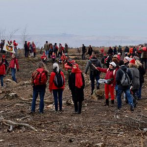 Bilder Die rote Linie – Vom Widerstand im Hambacher Forst