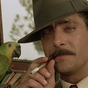 Bilder Sieben Schönheiten