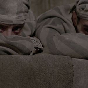 Bilder Sieben Schönheiten