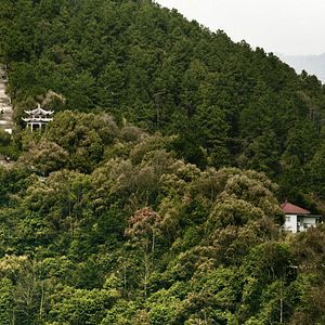 Bilder Dwelling in the Fuchun Mountains