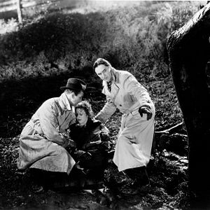 Bilder Die schwarze Katze