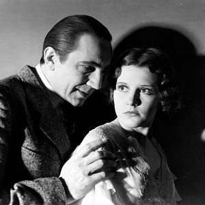 Bilder Die schwarze Katze