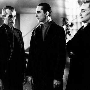 Bilder Die schwarze Katze