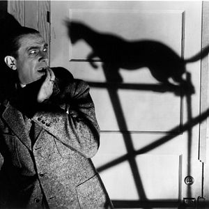 Bilder Die schwarze Katze