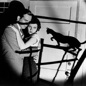 Bilder Die schwarze Katze