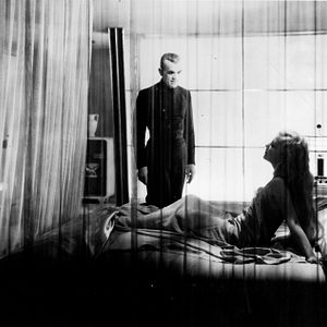 Bilder Die schwarze Katze