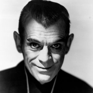 Bilder Die schwarze Katze