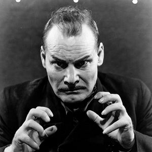 Bilder Die schwarze Katze