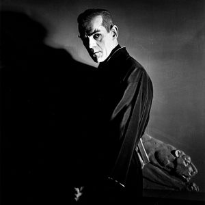 Bilder Die schwarze Katze