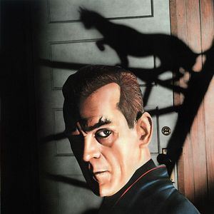 Bilder Die schwarze Katze