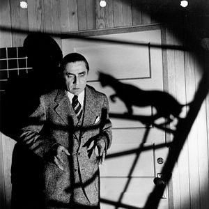 Bilder Die schwarze Katze