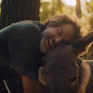 Bilder Butz Ulrich Buse