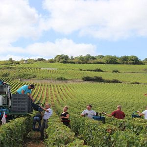 Bilder L'Âme du vin