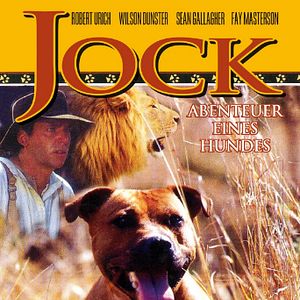 Bilder Jock - Abenteuer eines Hundes