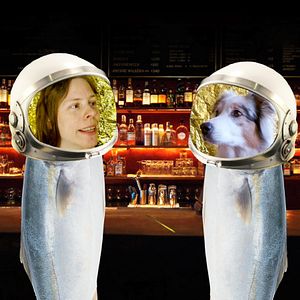 Bilder Danke tote Katze