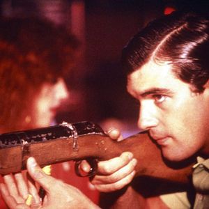 Bilder Das Gesetz der Begierde