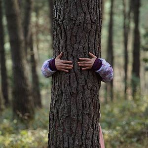 Bilder Küçük Şeyler