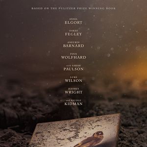 Bilder Der Distelfink