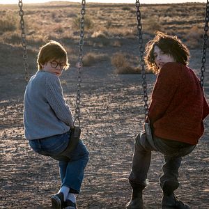 Bilder Der Distelfink