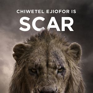 Bilder Der König der Löwen