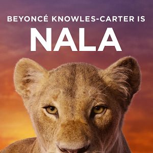 Bilder Der König der Löwen