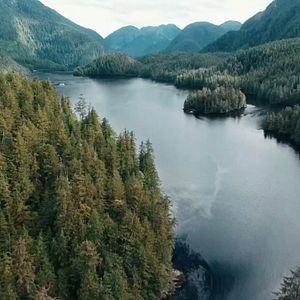 Bilder The Whale And The Raven