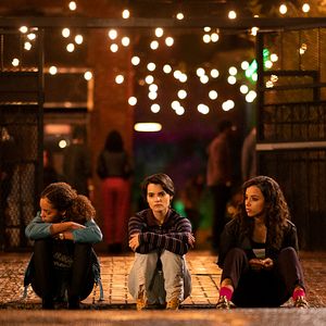 Bilder Diebische Elstern