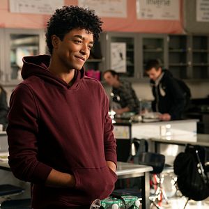 Bilder Diebische Elstern