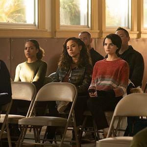 Bilder Diebische Elstern