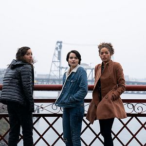 Bilder Diebische Elstern