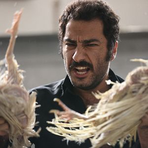 Bilder Navid Mohammadzadeh