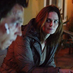 Bilder Animal Kingdom