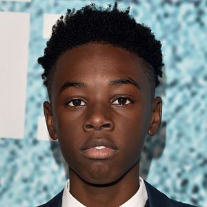 Bilder Alex R. Hibbert